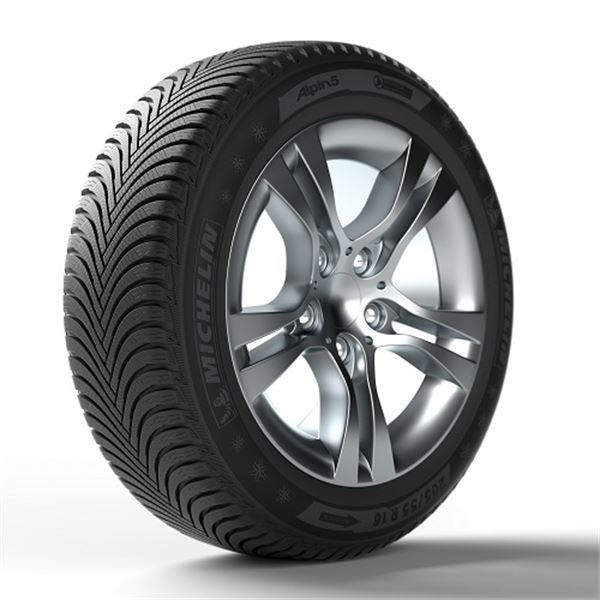 Neumático Michelin Pilot Alpin 5 MO1 295/35R20 105W