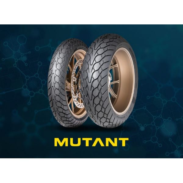 Pneu Moto Dunlop 120/70 ZR19 60W Mutant M+S - Pour Toutes Saisons, Adhérence Solide